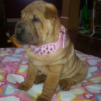 Photo de profil de Bella