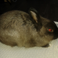 Photo de profil de Liilou