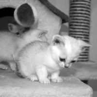 Photo de profil de June