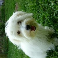Photo de profil de Jelka