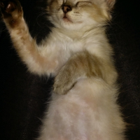 Photo de profil de Hermès