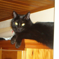 Photo de profil de Nell