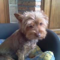 Photo de profil de Prisca
