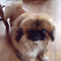 Photo de profil de Byron