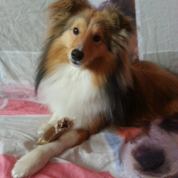 Photo de profil de Aiko