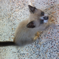Photo de profil de Ciam