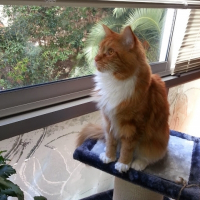 Photo de profil de igor