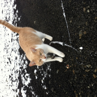 Photo de profil de Kitty 