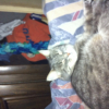 Photo de Mitsou