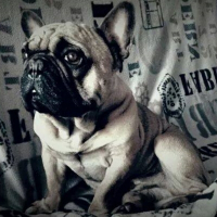 Photo de profil de fonzy