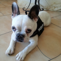 Photo de profil de Jessy