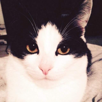 Photo de profil de Minoute