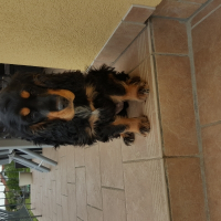 Photo de profil de Lilou
