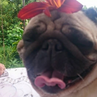Photo de profil de CURTY
