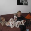 Photo de chipie