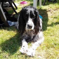 Photo de profil de oliver
