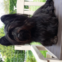 Photo de profil de HALONA