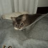 Photo de Zazie