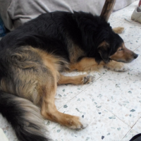 Photo de profil de kiwi