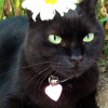 Photo de Louna