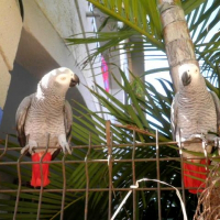 Photo de profil de Haddock & Tango