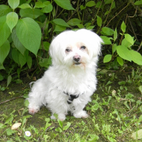 Photo de profil de Benji