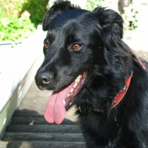 Photo de profil de Zina