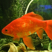 Photo de profil de Bubule