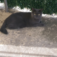 Photo de profil de Toupie
