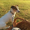 Photo de Figaro