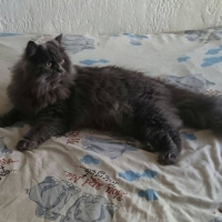 Photo de profil de Hope