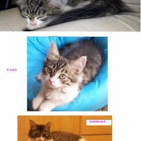 Photo de profil de Happy