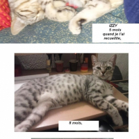 Photo de profil de Izzy