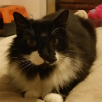 Photo de profil de Bob