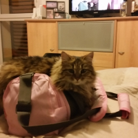 Photo de profil de Rubis