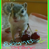 Photo de Dolly Jolie 