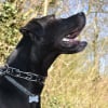 Photo de Zeus