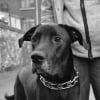 Photo de Zeus