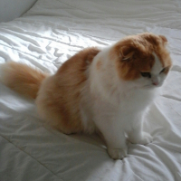 Photo de profil de kakawette