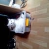 Photo de Maurice