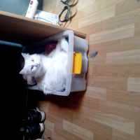 Photo de profil de Maurice