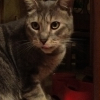 Photo de Happy