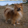 Photo de Hëlios 
