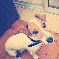 Photo de profil de Hemie 