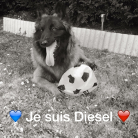 Photo de profil de Eros