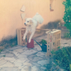 Illustration pour "Pixie&quot