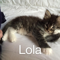 Photo de profil de lola