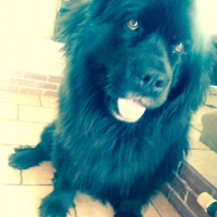Photo de profil de Zoé
