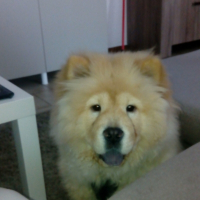 Photo de profil de Kiara 