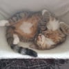 Photo de Bounty